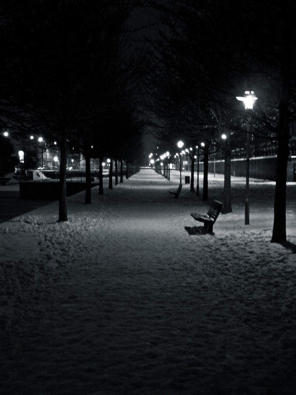 Photo: Lonely Benches 