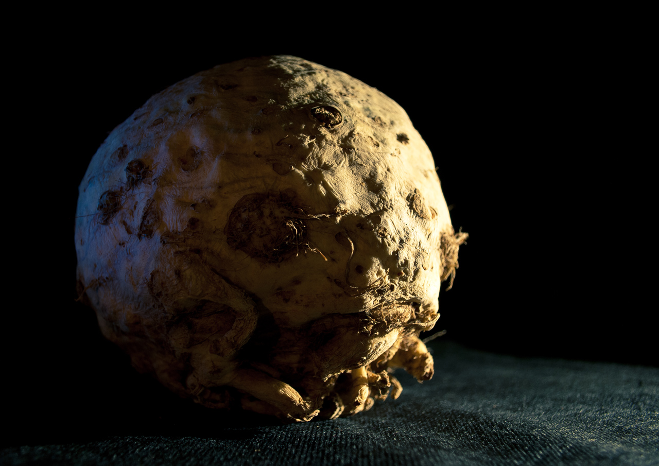 Photo: Celeriac From Outer Space 