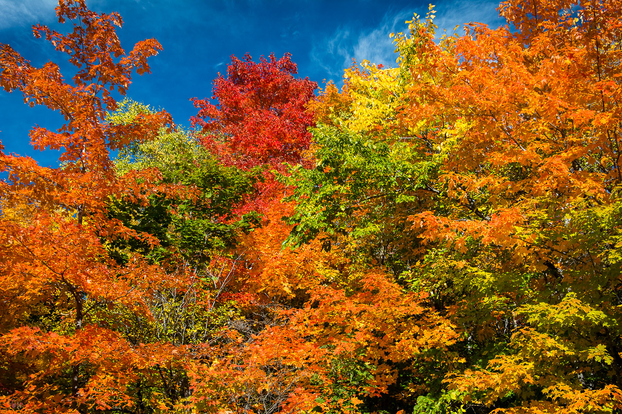Photo: Fall Colour Season 